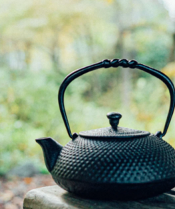 Cast Iron Teapot